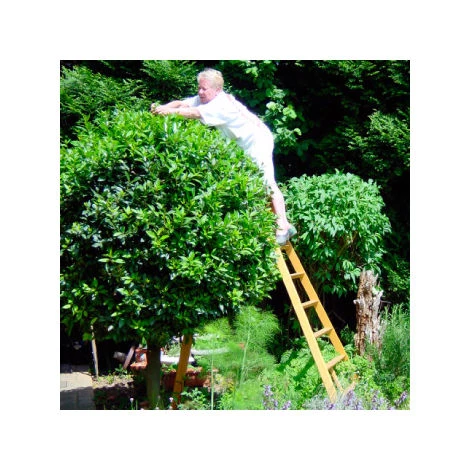 SECURIBAT Echelle Cueillette / Haies 2m - Pied Large 2 SECURIBAT Echelle Cueillette / Haies 2m - Pied Large – Image 2