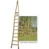 SECURIBAT Echelle Fruitiere En Bois Hemlock + Robinier 2,5m