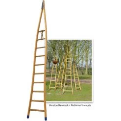 SECURIBAT Echelle Fruitiere En Bois Hemlock + Robinier 2,5m