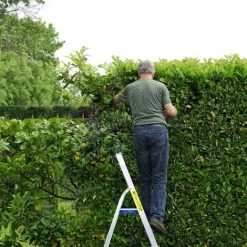 COSTWAY Escabeau Pliable à 3 Marches En Aluminium 58CM De Hauteur,4 Pieds Antidérapants,Charge Maximale 150KG Pour Maison Echelle Pliable 8 COSTWAY Escabeau Pliable à 3 Marches En Aluminium 58CM De Hauteur,4 Pieds Antidérapants,Charge Maximale 150KG Pour Maison Echelle Pliable -Pas Cher Échelle Magasin 15881774 4