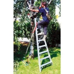 ECHELLE DIRECT - MATISERE Echelle Fruitière 6 Barreaux - Hauteur De L'échelle 1.74m - SCA1969S/06/SCCSTO