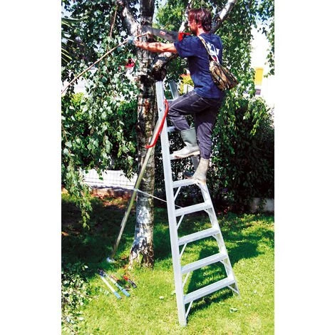 ECHELLE DIRECT - MATISERE Echelle Fruitière 6 Barreaux - Hauteur De L'échelle 1.74m - SCA1969S/06/SCCSTO 1 ECHELLE DIRECT - MATISERE Echelle Fruitière 6 Barreaux - Hauteur De L'échelle 1.74m - SCA1969S/06/SCCSTO