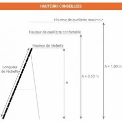 ECHELLE DIRECT - MATISERE Echelle Fruitière 6 Barreaux - Hauteur De L'échelle 1.74m - SCA1969S/06/SCCSTO 9 ECHELLE DIRECT - MATISERE Echelle Fruitière 6 Barreaux - Hauteur De L'échelle 1.74m - SCA1969S/06/SCCSTO -Pas Cher Échelle Magasin 26115013 5