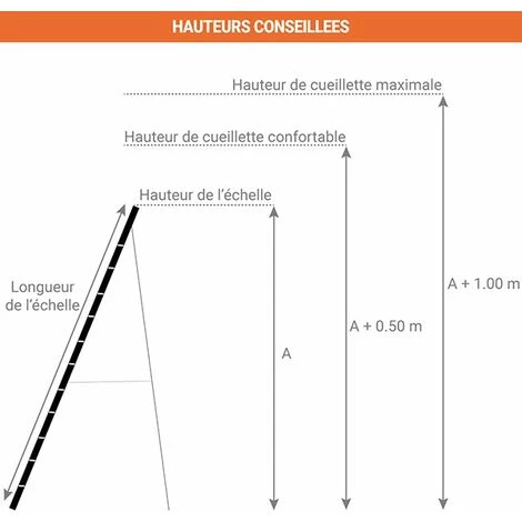 ECHELLE DIRECT - MATISERE Echelle Fruitière 6 Barreaux - Hauteur De L'échelle 1.74m - SCA1969S/06/SCCSTO 5 ECHELLE DIRECT - MATISERE Echelle Fruitière 6 Barreaux - Hauteur De L'échelle 1.74m - SCA1969S/06/SCCSTO – Image 5