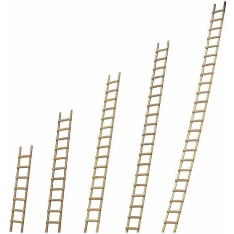 ECHELLE DIRECT - MATISERE Echelle De Toit En Bois - Ecartement Des Barreaux 25cm - Longueur 5.00m - B3150025 2 ECHELLE DIRECT - MATISERE Echelle De Toit En Bois - Ecartement Des Barreaux 25cm - Longueur 5.00m - B3150025 – Image 2