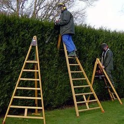 ECHELLE DIRECT - MATISERE Echelle Fruitière 5 Barreaux - Hauteur De L'échelle 2.00m - EDC200 -Pas Cher Échelle Magasin 3105979 3