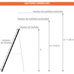 ECHELLE DIRECT - MATISERE Echelle De Cueilllette Aluminium De Longueur 3.00m. - FRUI-300 -Pas Cher Échelle Magasin 3105989 5