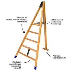 ECHELLE DIRECT - MATISERE Echelle Fruitière 5 Barreaux - Hauteur De L'échelle 2.00m - H2000T -Pas Cher Échelle Magasin 3105997 3