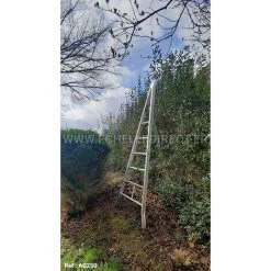 ECHELLE DIRECT - MATISERE Echelle Fruitière 8 Barreaux - Hauteur De L'échelle Ouverte 3.00m - AG300 -Pas Cher Échelle Magasin 3106006 4