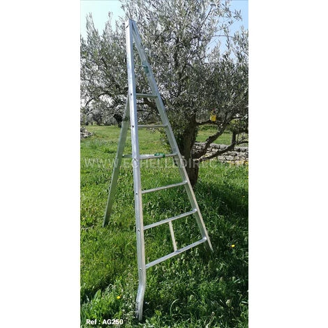 ECHELLE DIRECT - MATISERE Echelle Fruitière 4 Barreaux - Hauteur De L'échelle Ouverte 1.86m - AG200 3 ECHELLE DIRECT - MATISERE Echelle Fruitière 4 Barreaux - Hauteur De L'échelle Ouverte 1.86m - AG200 – Image 3