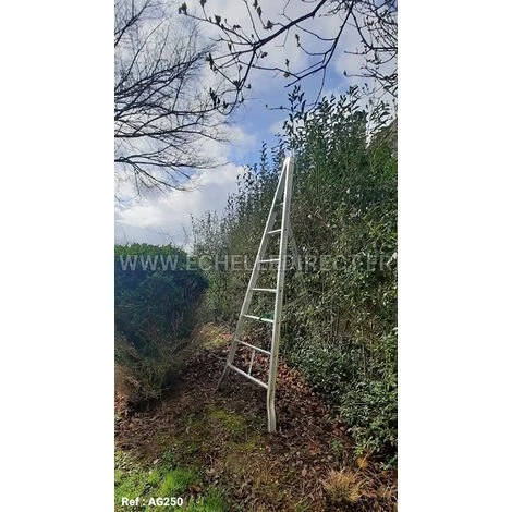 ECHELLE DIRECT - MATISERE Echelle Fruitière 4 Barreaux - Hauteur De L'échelle Ouverte 1.86m - AG200 4 ECHELLE DIRECT - MATISERE Echelle Fruitière 4 Barreaux - Hauteur De L'échelle Ouverte 1.86m - AG200 – Image 4