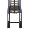 AXHUP Echelle Télescopique 3,8M Multifonction Polyvalent Portable En Aluminium Capacité 150kg