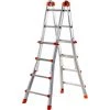 GIERRE AL002 - Echelle Télescopique Aluminium PEPPina 100 Kg (4x4 échelons)
